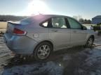 2009 Ford Focus SES