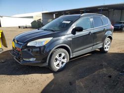 Salvage cars for sale at Brighton, CO auction: 2014 Ford Escape SE