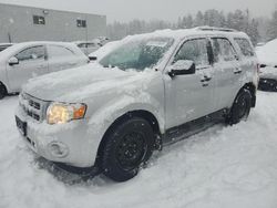 Salvage cars for sale at Cookstown, ON auction: 2011 Ford Escape XLT