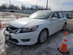 Salvage cars for sale at Columbus, OH auction: 2013 Honda Accord EXL