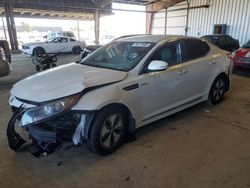 Salvage cars for sale from Copart American Canyon, CA: 2013 KIA Optima Hybrid