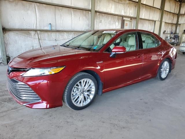 2019 Toyota Camry Hybrid