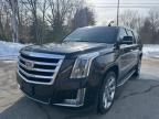 2019 Cadillac Escalade ESV Luxury