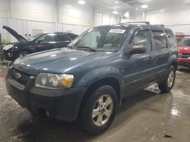 2005 Ford Escape XLT