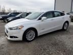 2016 Ford Fusion SE Hybrid