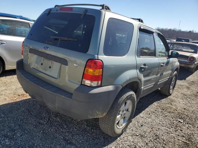 2007 Ford Escape XLT