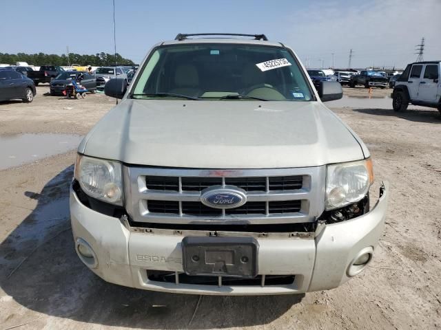 2008 Ford Escape XLT