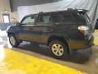 2024 Toyota 4runner SR5/SR5 Premium