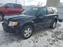 Salvage cars for sale at Wayland, MI auction: 2012 Ford Escape XLT