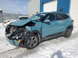 Salvage cars for sale from Copart Elmsdale, NS: 2024 KIA Seltos S