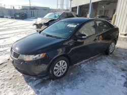 Salvage cars for sale at Chicago Heights, IL auction: 2010 KIA Forte EX