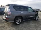 2019 Lexus GX 460