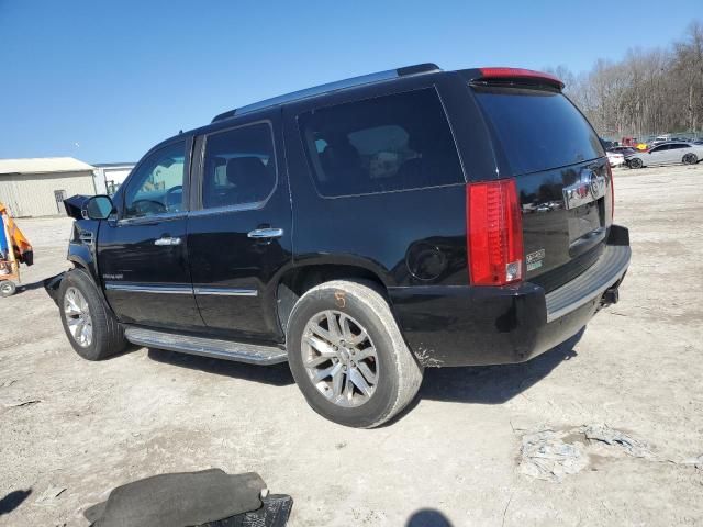 2010 Cadillac Escalade Luxury