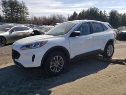 Salvage cars for sale at Finksburg, MD auction: 2022 Ford Escape SE