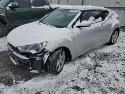 Salvage cars for sale at Walton, KY auction: 2013 Hyundai Veloster