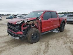 Salvage cars for sale at Houston, TX auction: 2024 Ford F150 Raptor