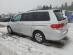 2010 Honda Odyssey EX