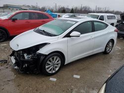 Salvage cars for sale at Louisville, KY auction: 2015 Hyundai Elantra SE