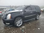 2008 Cadillac Escalade Luxury