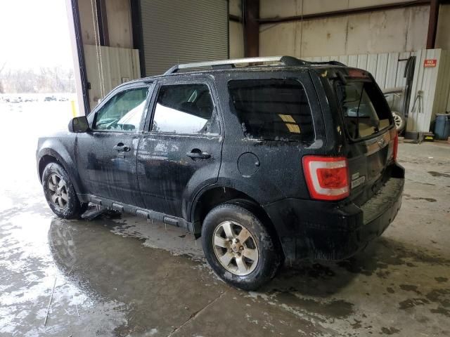 2010 Ford Escape Limited