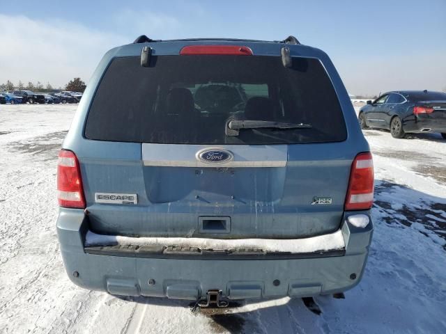 2010 Ford Escape Limited