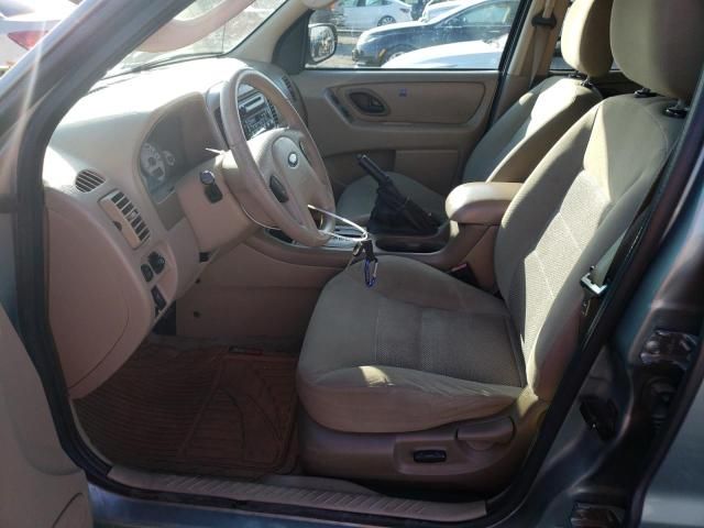 2006 Ford Escape XLT