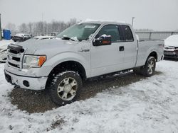 Salvage cars for sale at Lawrenceburg, KY auction: 2013 Ford F150 Super Cab