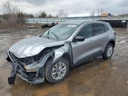 Salvage cars for sale at Columbia Station, OH auction: 2023 Ford Escape Active