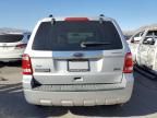 2010 Ford Escape Limited