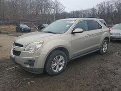 Chevrolet Vehiculos salvage en venta: 2011 Chevrolet Equinox LT