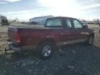 2003 Ford F150