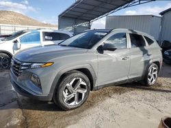 Salvage cars for sale at Albuquerque, NM auction: 2024 Hyundai Tucson SEL