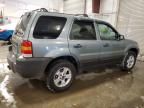 2007 Ford Escape XLT