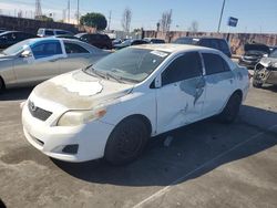 Salvage cars for sale at Wilmington, CA auction: 2010 Toyota Corolla Base