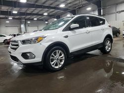 Salvage cars for sale at Ham Lake, MN auction: 2018 Ford Escape SE