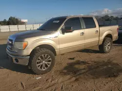 Salvage trucks for sale at Newton, AL auction: 2013 Ford F150 Supercrew