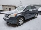 2007 Honda CR-V EX