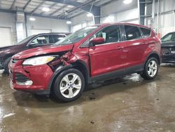 2014 Ford Escape SE en venta en Ham Lake, MN