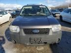 2006 Ford Escape XLS