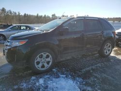 Salvage cars for sale at Windham, ME auction: 2013 Ford Edge SEL