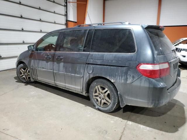 2005 Honda Odyssey EX