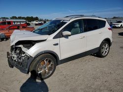 Salvage cars for sale at Harleyville, SC auction: 2014 Ford Escape Titanium