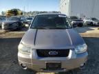 2007 Ford Escape XLT