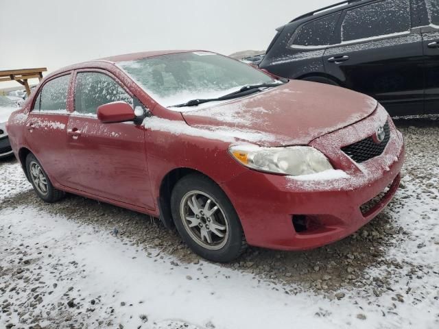 2009 Toyota Corolla Base