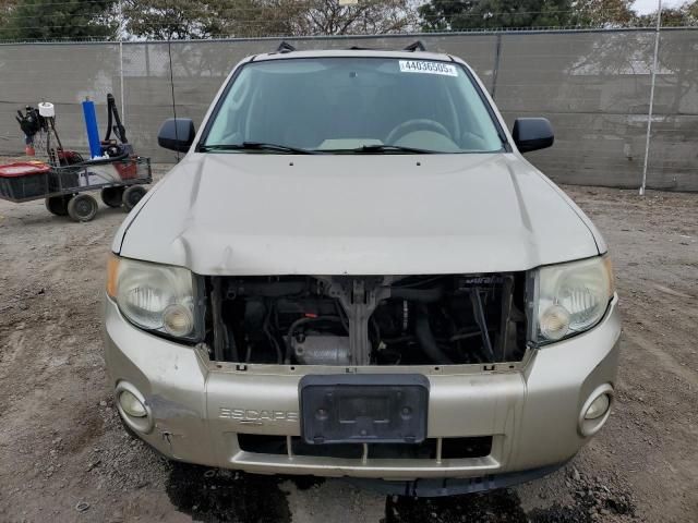 2010 Ford Escape XLT