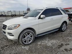 Mercedes-Benz salvage cars for sale: 2013 Mercedes-Benz ML 350