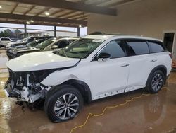 Infiniti qx60 Pure salvage cars for sale: 2025 Infiniti QX60 Pure