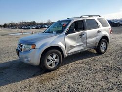 Salvage cars for sale at Lumberton, NC auction: 2010 Ford Escape XLT