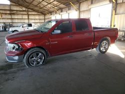 Salvage cars for sale at Phoenix, AZ auction: 2010 Dodge RAM 1500