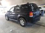 2007 Ford Escape XLT